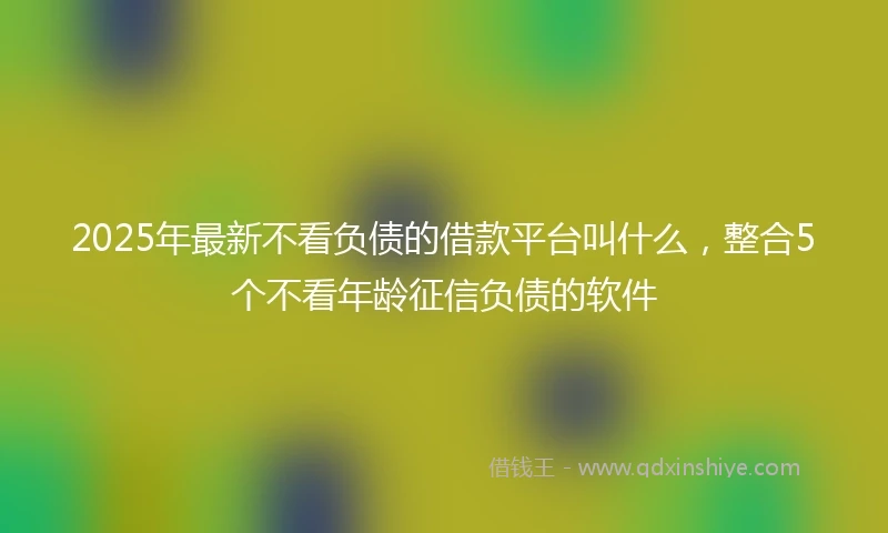 2025年最新不看负债的借款平台叫什么，整合5个不看年龄征信负债的软件
