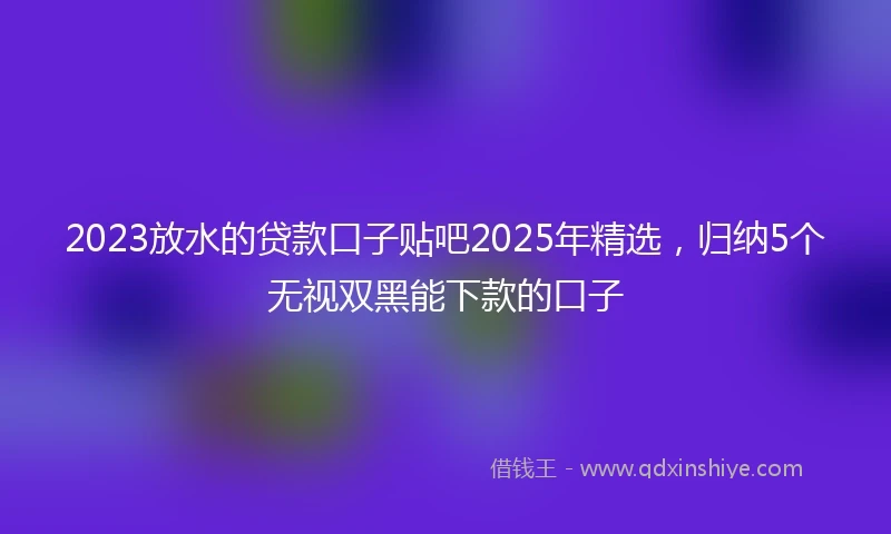 2023放水的贷款口子贴吧2025年精选，归纳5个无视双黑能下款的口子