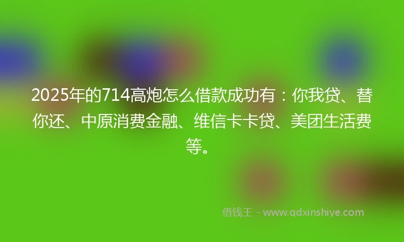 2025年的714高炮怎么借款成功有：你我贷、替你还、中原消费金融、维信卡卡贷、美团生活费等。