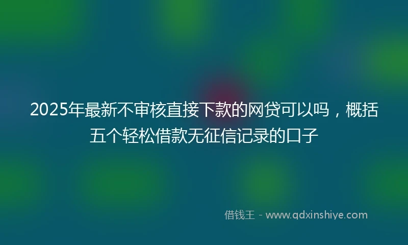 2025年最新不审核直接下款的网贷可以吗，概括五个轻松借款无征信记录的口子
