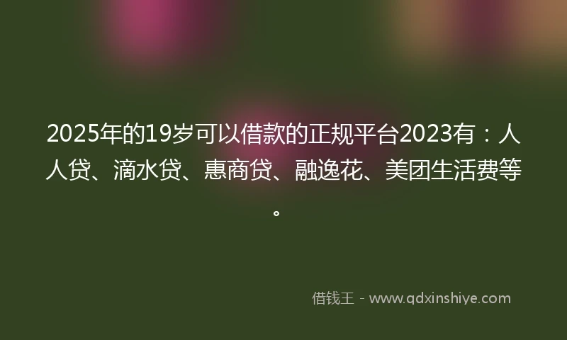2025年的19岁可以借款的正规平台2023有：人人贷、滴水贷、惠商贷、融逸花、美团生活费等。