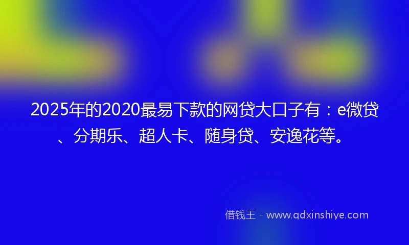 2025年的2020最易下款的网贷大口子有：e微贷、分期乐、超人卡、随身贷、安逸花等。