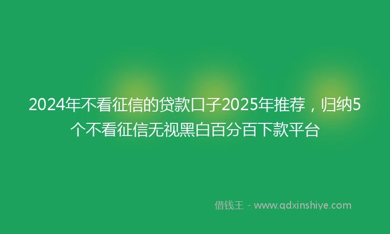 2024年不看征信的贷款口子2025年推荐，归纳5个不看征信无视黑白百分百下款平台