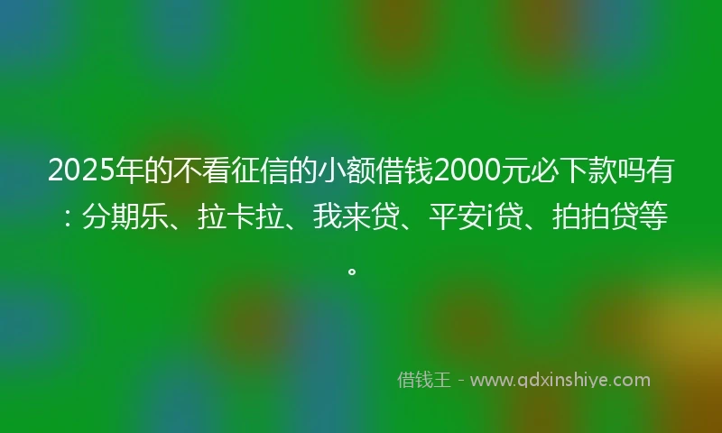 2025年的不看征信的小额借钱2000元必下款吗有：分期乐、拉卡拉、我来贷、平安i贷、拍拍贷等。