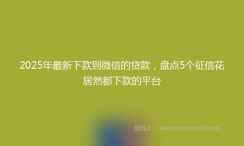 2025年最新下款到微信的贷款，盘点5个征信花居然都下款的平台