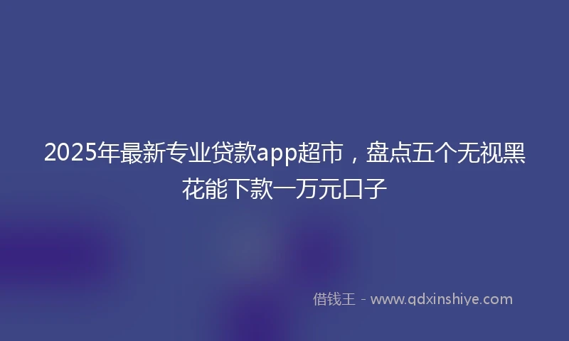 2025年最新专业贷款app超市，盘点五个无视黑花能下款一万元口子