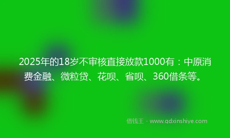 2025年的18岁不审核直接放款1000有：中原消费金融、微粒贷、花呗、省呗、360借条等。