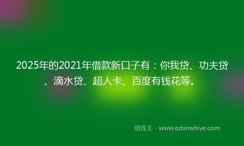 2025年的2021年借款新口子有：你我贷、功夫贷、滴水贷、超人卡、百度有钱花等。
