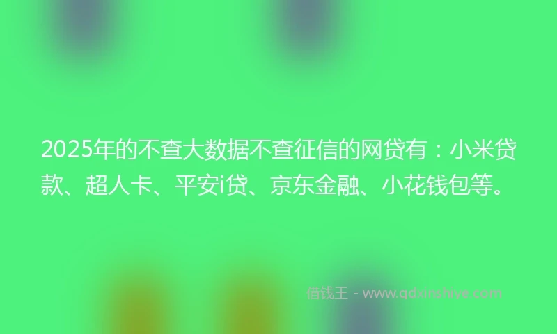 2025年的不查大数据不查征信的网贷有：小米贷款、超人卡、平安i贷、京东金融、小花钱包等。