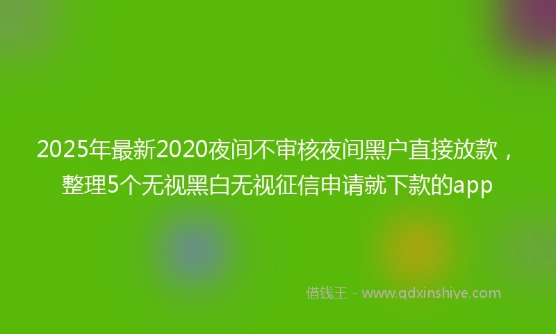 2025年最新2020夜间不审核夜间黑户直接放款，整理5个无视黑白无视征信申请就下款的app