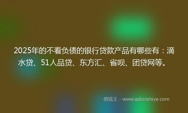 2025年的不看负债的银行贷款产品有哪些有：滴水贷、51人品贷、东方汇、省呗、团贷网等。