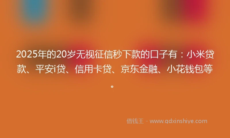 2025年的20岁无视征信秒下款的口子有：小米贷款、平安i贷、信用卡贷、京东金融、小花钱包等。