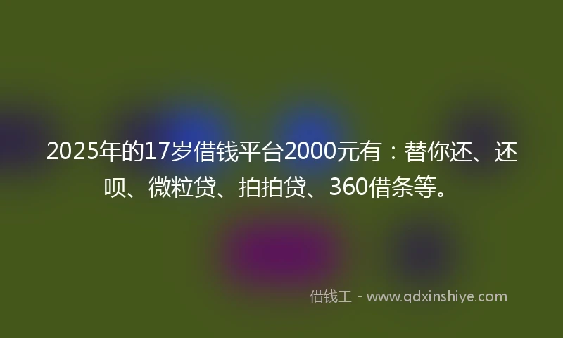 2025年的17岁借钱平台2000元有：替你还、还呗、微粒贷、拍拍贷、360借条等。