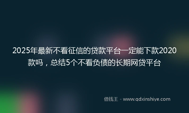 2025年最新不看征信的贷款平台一定能下款2020款吗，总结5个不看负债的长期网贷平台