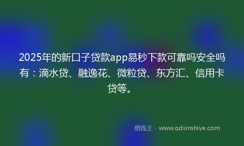 2025年的新口子贷款app易秒下款可靠吗安全吗有：滴水贷、融逸花、微粒贷、东方汇、信用卡贷等。