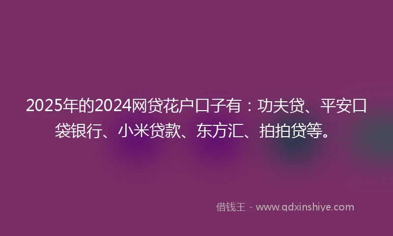 2025年的2024网贷花户口子有：功夫贷、平安口袋银行、小米贷款、东方汇、拍拍贷等。