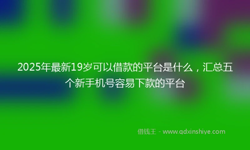 2025年最新19岁可以借款的平台是什么，汇总五个新手机号容易下款的平台