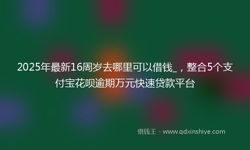 2025年最新16周岁去哪里可以借钱_，整合5个支付宝花呗逾期万元快速贷款平台