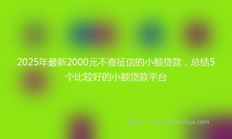 2025年最新2000元不查征信的小额贷款，总结5个比较好的小额贷款平台