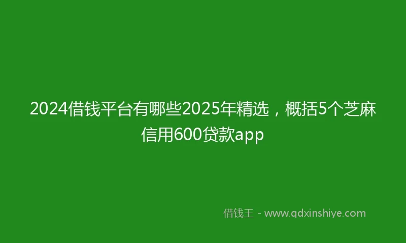 2024借钱平台有哪些2025年精选，概括5个芝麻信用600贷款app