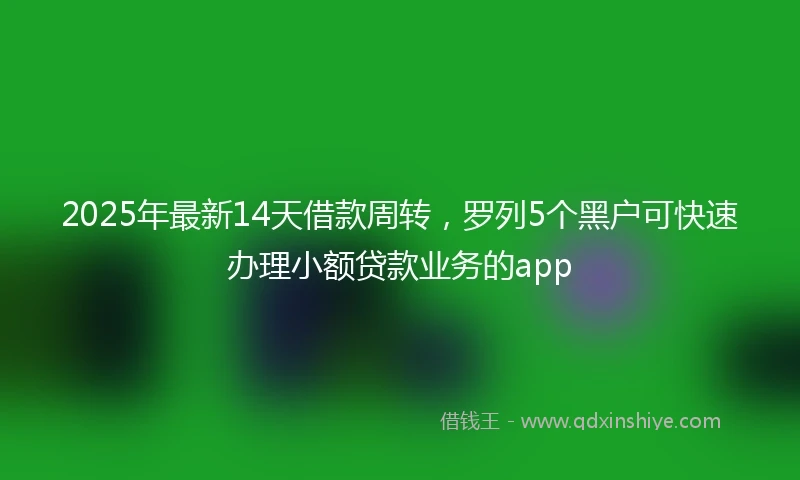 2025年最新14天借款周转，罗列5个黑户可快速办理小额贷款业务的app