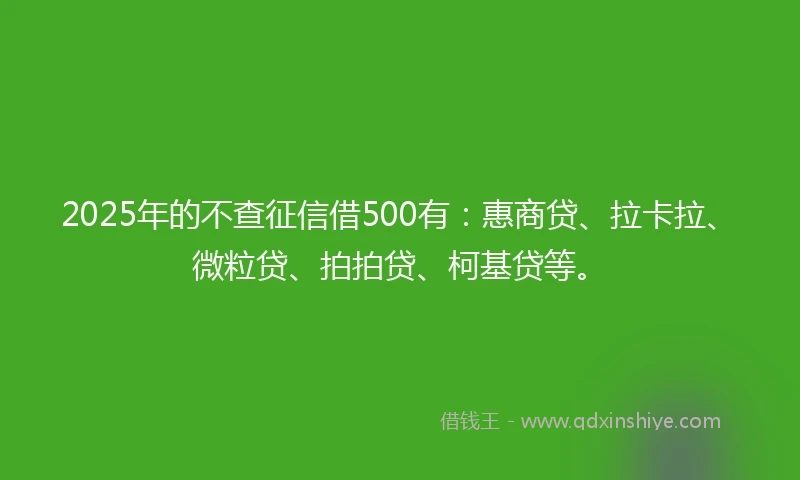 2025年的不查征信借500有：惠商贷、拉卡拉、微粒贷、拍拍贷、柯基贷等。