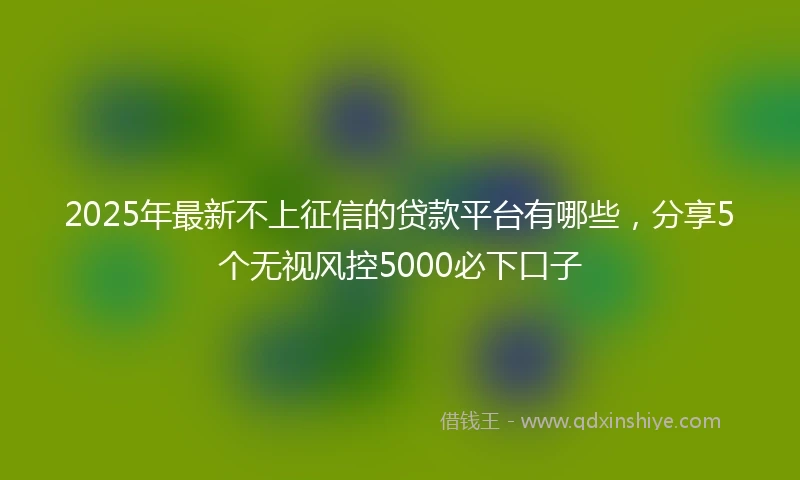2025年最新不上征信的贷款平台有哪些，分享5个无视风控5000必下口子