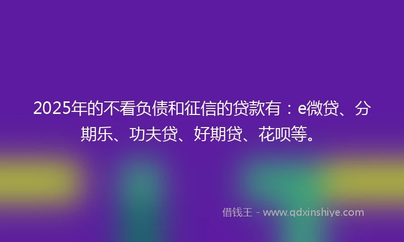 2025年的不看负债和征信的贷款有：e微贷、分期乐、功夫贷、好期贷、花呗等。