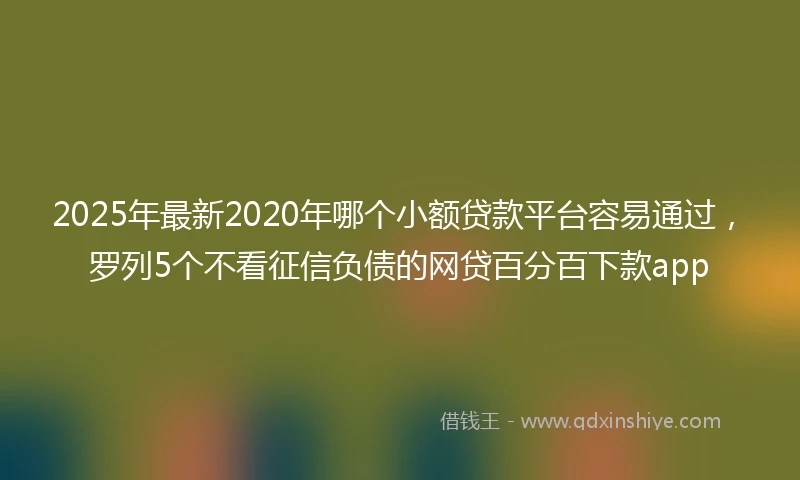 2025年最新2020年哪个小额贷款平台容易通过，罗列5个不看征信负债的网贷百分百下款app