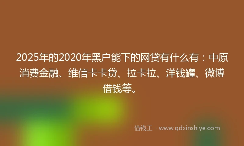 2025年的2020年黑户能下的网贷有什么有：中原消费金融、维信卡卡贷、拉卡拉、洋钱罐、微博借钱等。