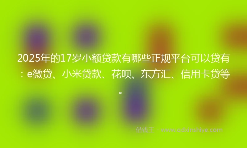 2025年的17岁小额贷款有哪些正规平台可以贷有：e微贷、小米贷款、花呗、东方汇、信用卡贷等。