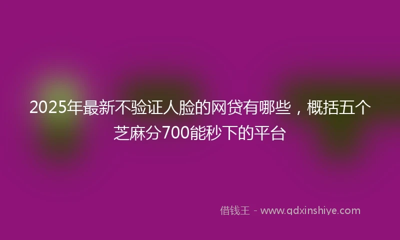 2025年最新不验证人脸的网贷有哪些，概括五个芝麻分700能秒下的平台