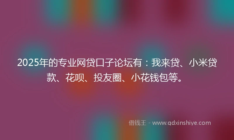 2025年的专业网贷口子论坛有：我来贷、小米贷款、花呗、投友圈、小花钱包等。