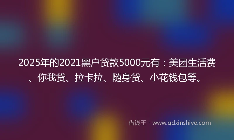 2025年的2021黑户贷款5000元有：美团生活费、你我贷、拉卡拉、随身贷、小花钱包等。