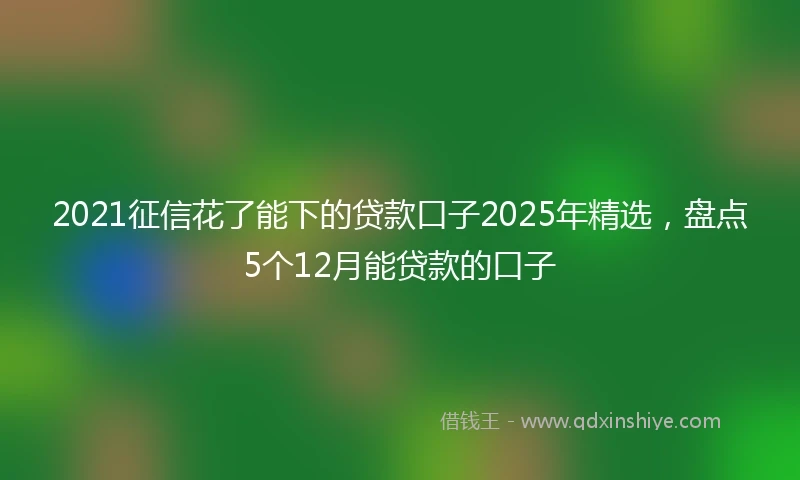 2021征信花了能下的贷款口子2025年精选，盘点5个12月能贷款的口子