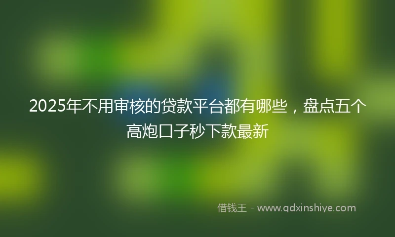 2025年不用审核的贷款平台都有哪些，盘点五个高炮口子秒下款最新
