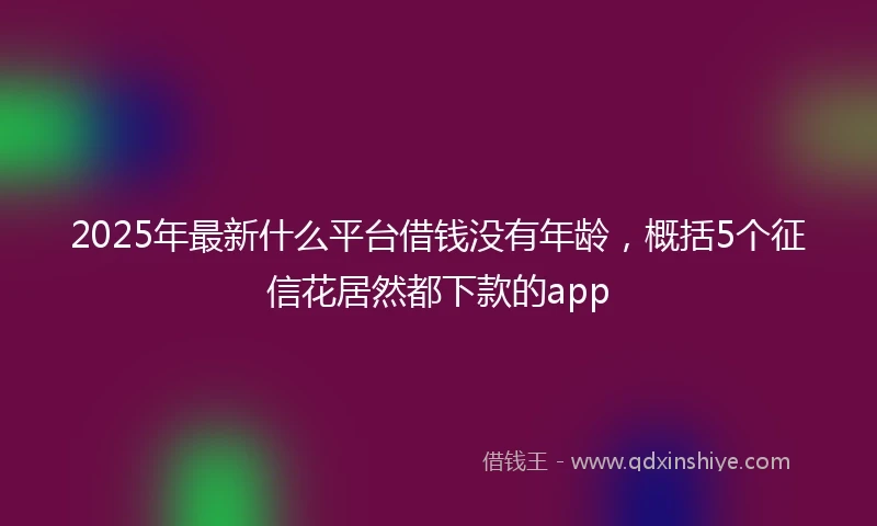 2025年最新什么平台借钱没有年龄，概括5个征信花居然都下款的app