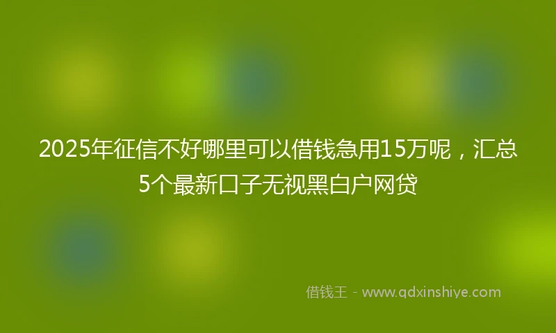 2025年征信不好哪里可以借钱急用15万呢，汇总5个最新口子无视黑白户网贷