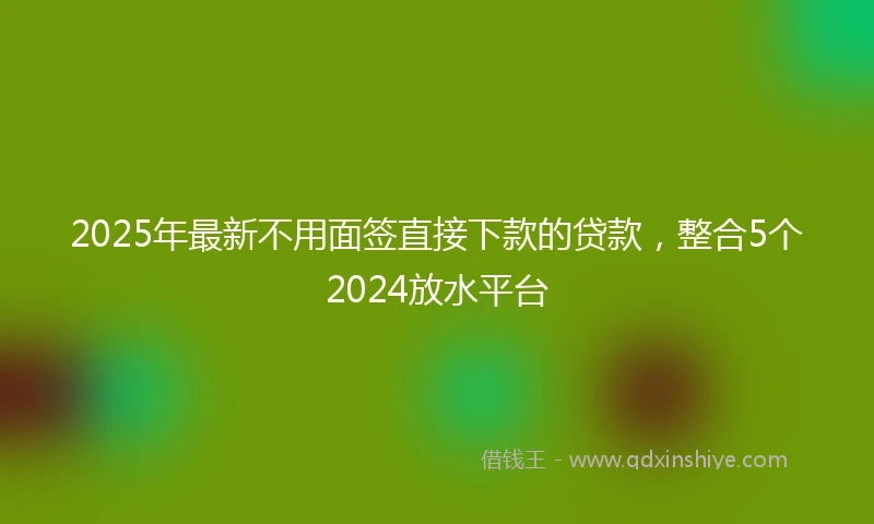 2025年最新不用面签直接下款的贷款，整合5个2024放水平台