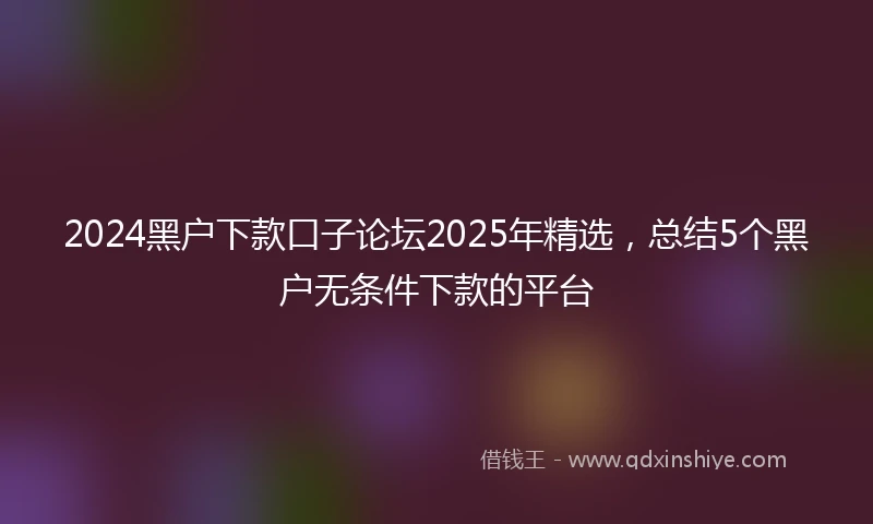 2024黑户下款口子论坛2025年精选，总结5个黑户无条件下款的平台