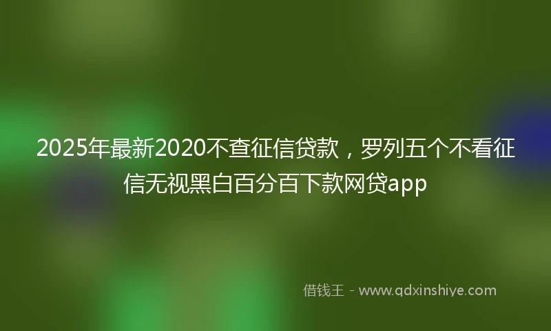 2025年最新2020不查征信贷款，罗列五个不看征信无视黑白百分百下款网贷app