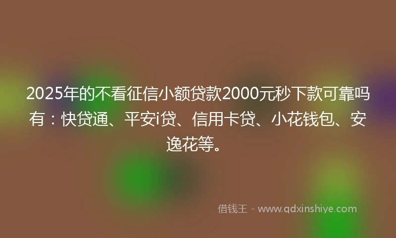2025年的不看征信小额贷款2000元秒下款可靠吗有：快贷通、平安i贷、信用卡贷、小花钱包、安逸花等。