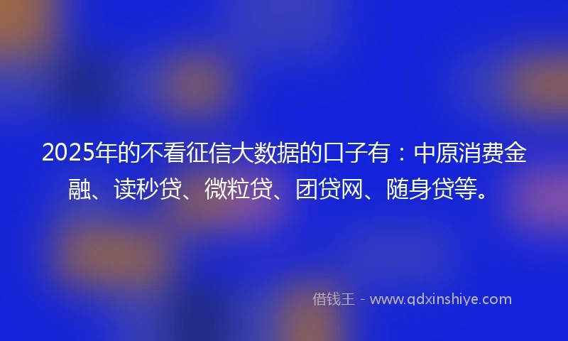 2025年的不看征信大数据的口子有：中原消费金融、读秒贷、微粒贷、团贷网、随身贷等。