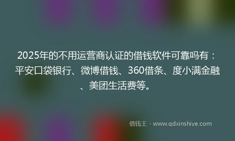 2025年的不用运营商认证的借钱软件可靠吗有：平安口袋银行、微博借钱、360借条、度小满金融、美团生活费等。