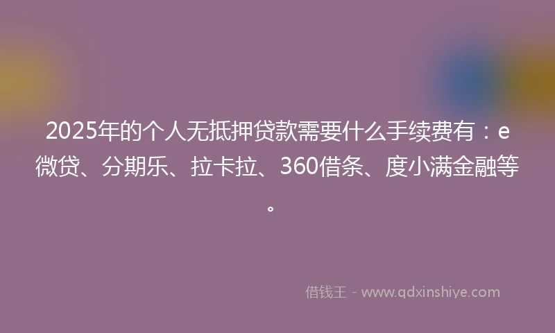 2025年的个人无抵押贷款需要什么手续费有：e微贷、分期乐、拉卡拉、360借条、度小满金融等。
