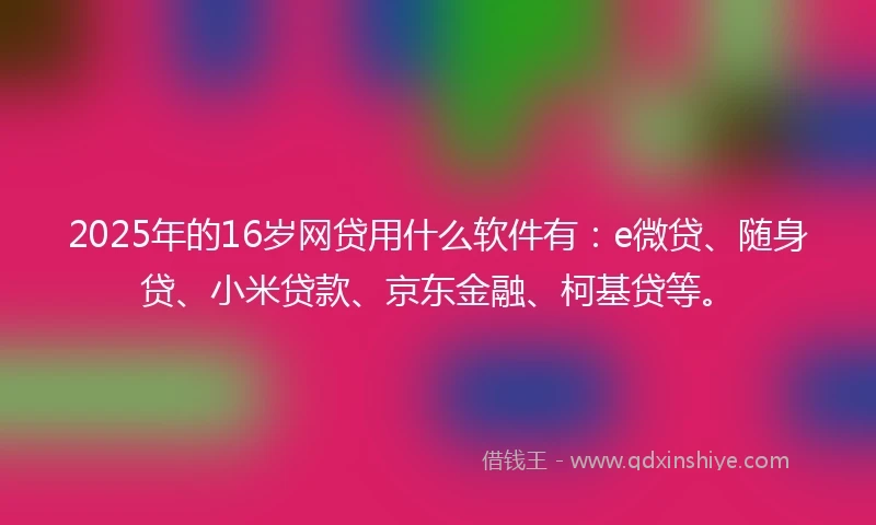 2025年的16岁网贷用什么软件有：e微贷、随身贷、小米贷款、京东金融、柯基贷等。