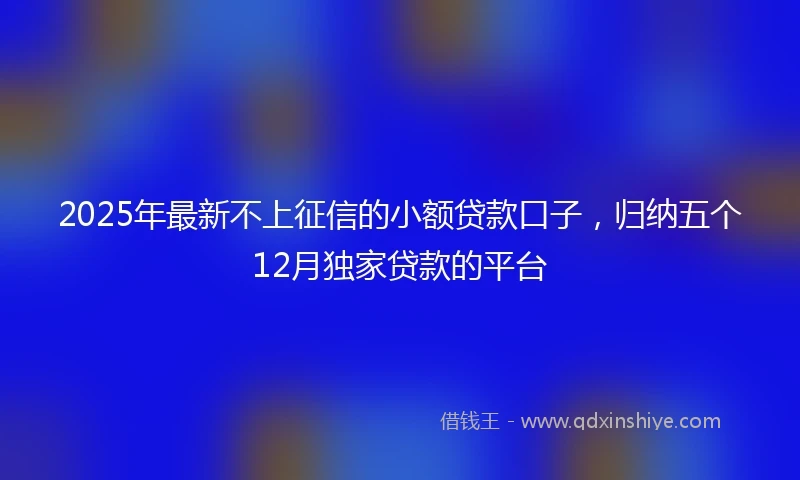 2025年最新不上征信的小额贷款口子，归纳五个12月独家贷款的平台