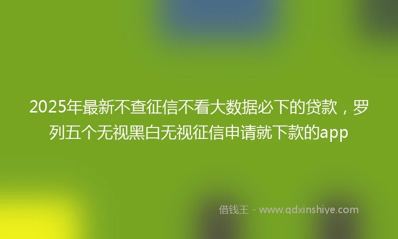 2025年最新不查征信不看大数据必下的贷款，罗列五个无视黑白无视征信申请就下款的app