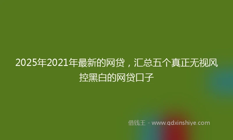 2025年2021年最新的网贷，汇总五个真正无视风控黑白的网贷口子