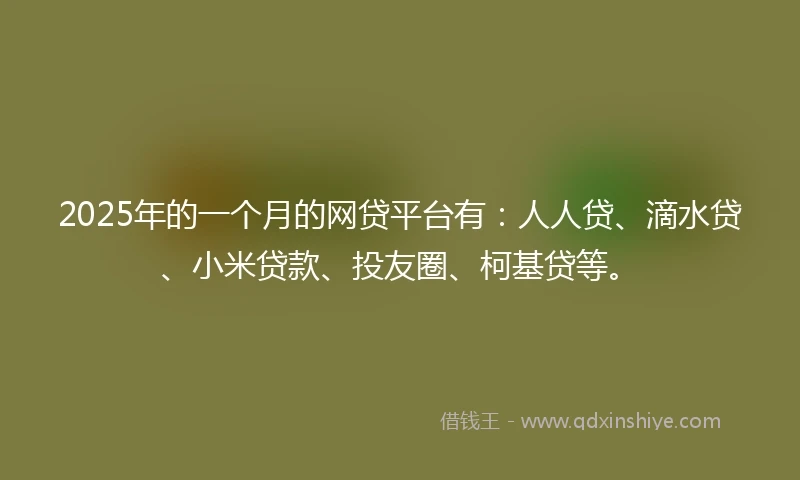 2025年的一个月的网贷平台有：人人贷、滴水贷、小米贷款、投友圈、柯基贷等。